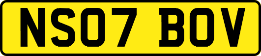 NS07BOV