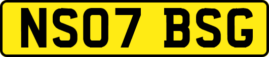 NS07BSG