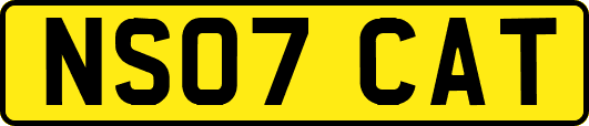 NS07CAT