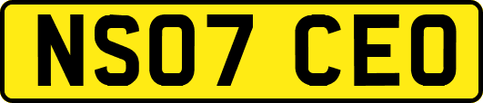 NS07CEO
