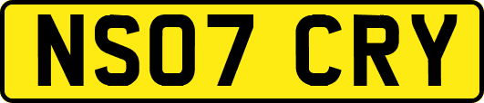NS07CRY