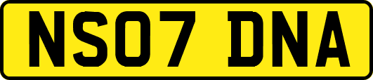 NS07DNA