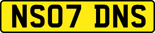 NS07DNS