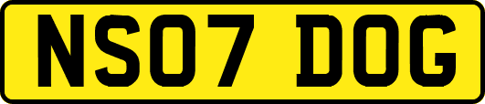NS07DOG