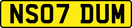 NS07DUM