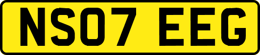 NS07EEG