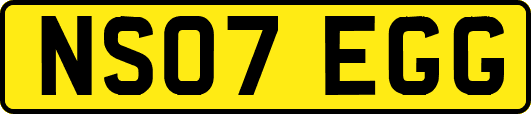 NS07EGG
