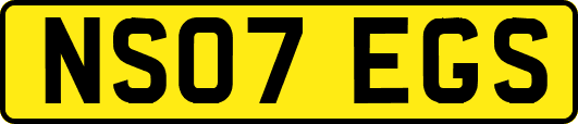NS07EGS