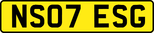 NS07ESG