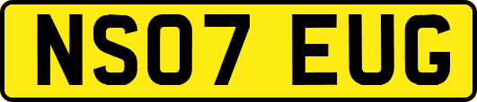 NS07EUG