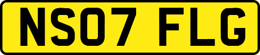 NS07FLG
