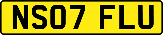 NS07FLU