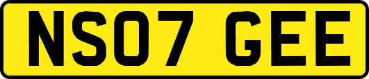 NS07GEE