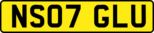 NS07GLU