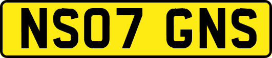 NS07GNS