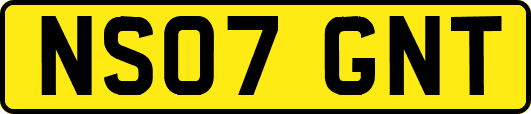 NS07GNT