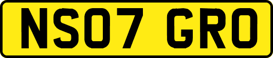 NS07GRO