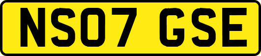 NS07GSE