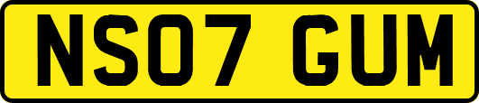 NS07GUM