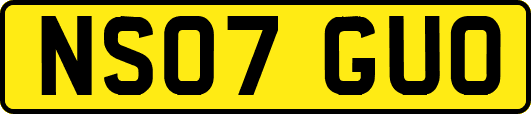 NS07GUO