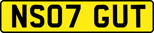 NS07GUT