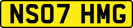 NS07HMG