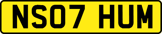 NS07HUM