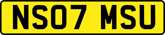 NS07MSU