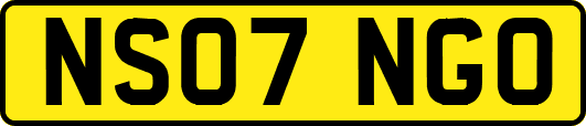NS07NGO