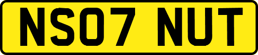 NS07NUT