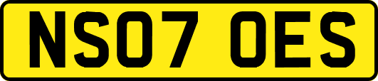 NS07OES