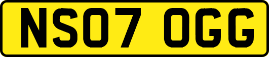 NS07OGG