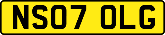 NS07OLG