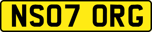 NS07ORG