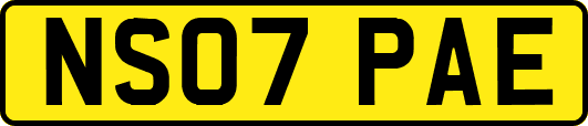 NS07PAE