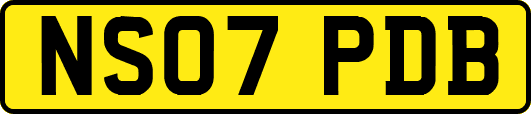 NS07PDB