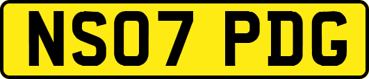 NS07PDG