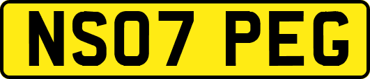 NS07PEG