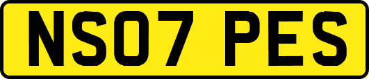 NS07PES