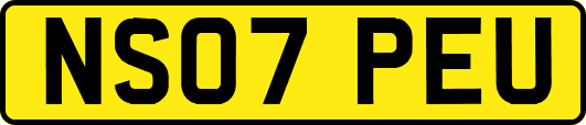 NS07PEU