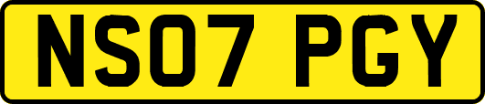NS07PGY