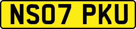 NS07PKU