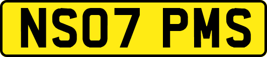 NS07PMS