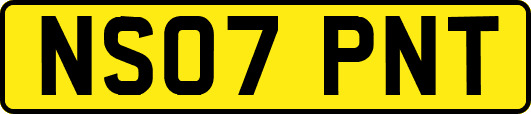 NS07PNT