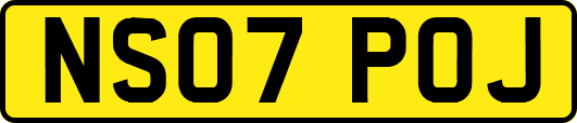 NS07POJ