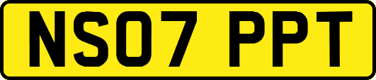 NS07PPT