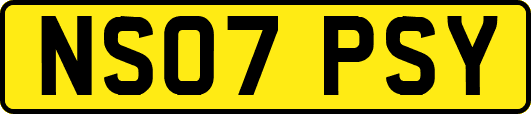 NS07PSY