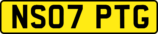 NS07PTG
