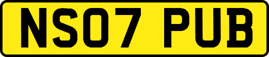 NS07PUB