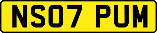 NS07PUM